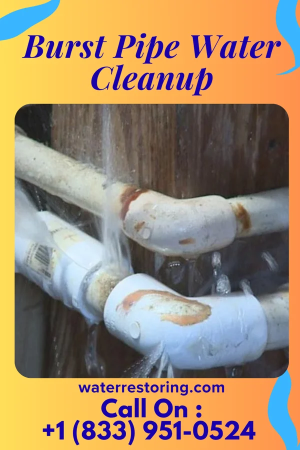 Burst Pipe Water Cleanup in Bethel Acres, OK