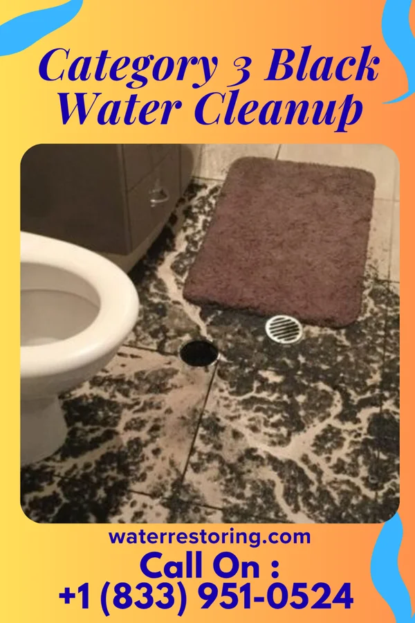 Category 3 Black Water Cleanup in Bethel Acres, OK
